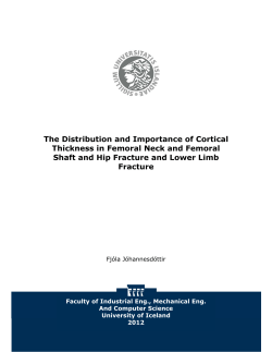 The Distribution and Importance of Cortical Thickness in