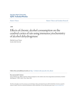 Effects of chronic alcohol consumption on the cerebral cortex of rats