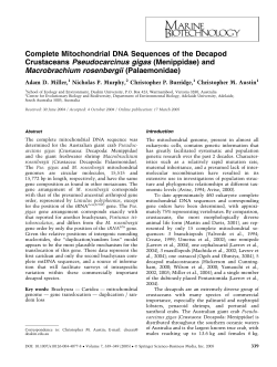 Complete Mitochondrial DNA Sequences of the Decapod