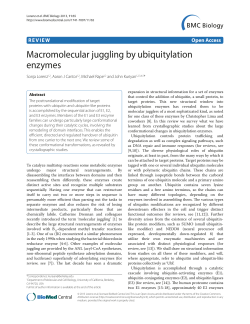 Macromolecular juggling by ubiquitylation enzymes | SpringerLink