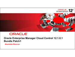 Oracle Enterprise Manager Cloud Control 12.1.0.1 Bundle Patch1