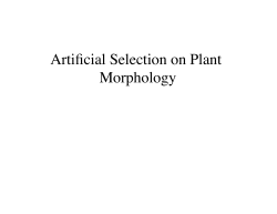 16 Artificial Selection