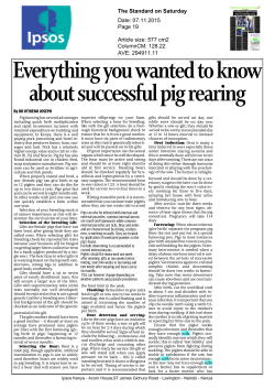 about successful pig rearing