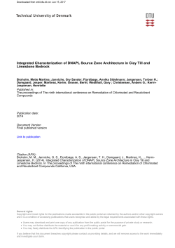 Integrated Characterization of DNAPL Source Zone