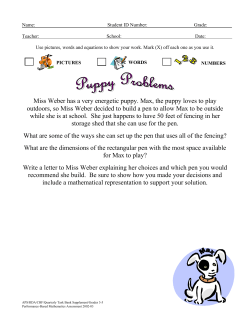 Miss Weber has a very energetic puppy. Max, the puppy loves to