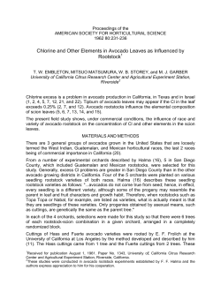 Chlorine and Other Elements in Avocado Leaves as Influenced by