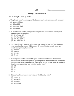 Genetics Quiz