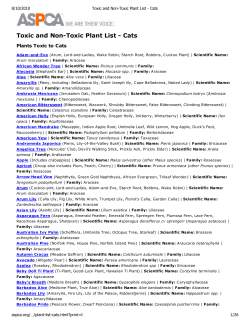 Toxic and Non-Toxic Plant List - Cats