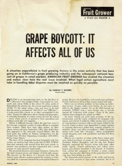 grape boycott: it affects all of us