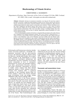 Biochronology of Triassic bivalves