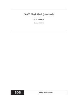 NATURAL GAS - Xcel Energy