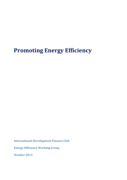 Promoting Energy Efficiency - International Development Finance Club