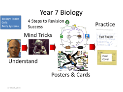 Year 7 Revision