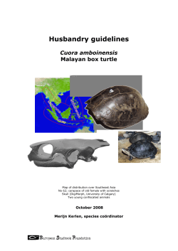 Husbandry guidelines