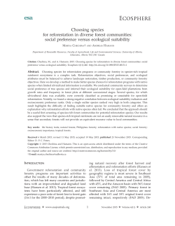 Choosing species for reforestation in diverse forest communities