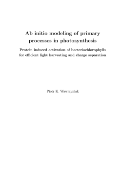 Ab initio modeling of primary processes in photosynthesis
