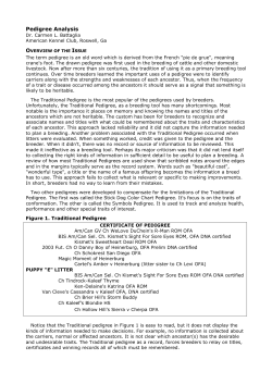 Pedigree Analysis
