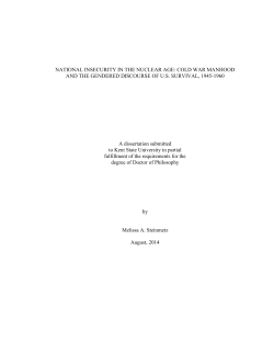 NATIONAL INSECURITY IN THE NUCLEAR AGE: COLD WAR