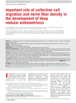 Important role of collective cell migration and nerve fiber density in