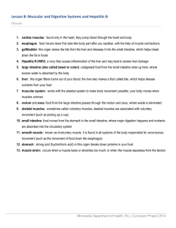 Lesson 8 - Minnesota Department of Health