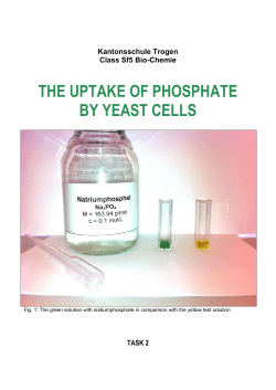 the uptake of phosphate by yeast cells