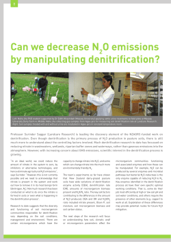 Can we decrease N O emissions by manipulating denitrification?