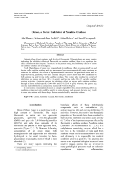 Onion, a Potent Inhibitor of Xantine Oxidase