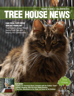 CAN FERAL CATS SOLVE OUR RAT PROBLEM?