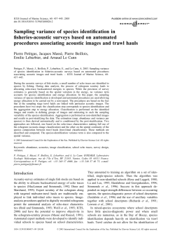 Sampling variance of species identification in fisheries