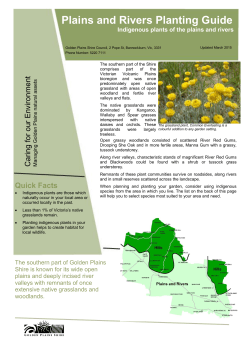 Plains and Rivers Planting Guide