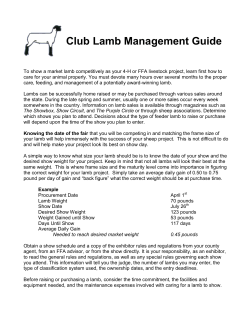 Club Lamb Management Guide