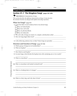Section 21–1 The Kingdom Fungi (pages 527–529)