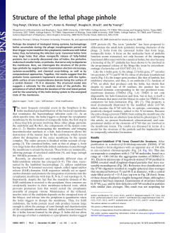 Structure of the lethal phage pinhole