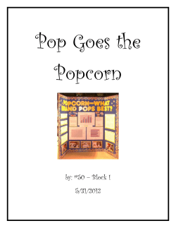 Example of Sci Fair Notebookpdf