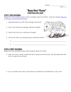 Boar Out There - Mrs. Sanders` Language Arts Class
