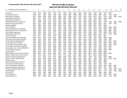 Minnesota Merit System 2017 Salary Plan