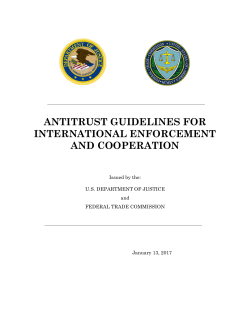 Antitrust Guidelines for International Enforcement and Cooperation