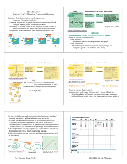BIO132 Lab 7: Exercise 39A/39 Chemical Processes of Digestion