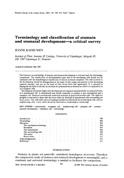 Terminology and classification of stomata and