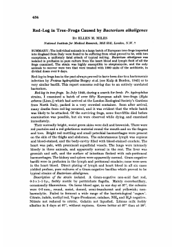 Red -Leg in Tree -Frogs Caused by Bacterium