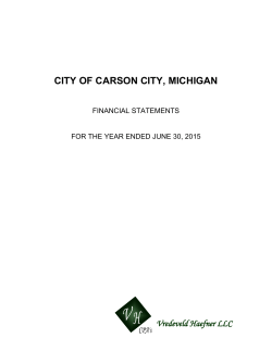 CITY OF CARSON CITY, MICHIGAN