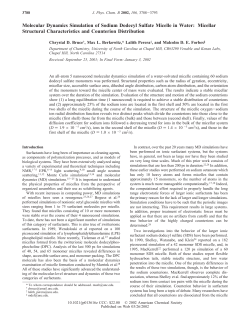 Molecular Dynamics Simulation of Sodium Dodecyl