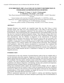 synchrotron xrf analyses of element distribution in fossilized