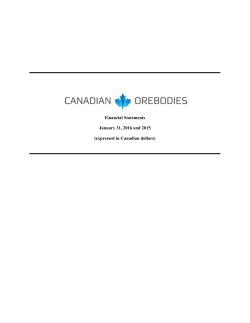 FS - Canadian Orebodies Inc.
