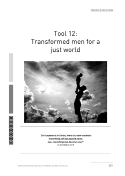 Tool 12: Transformed men for a just world
