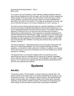 Developing The Energy Systems