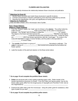 Draw and label a flower, and a microscopic view of pollen