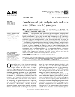 (Allium cepa L.) genotypes
