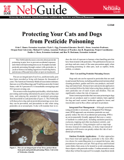 Protecting Your Cats and Dogs from Pesticide Poisoning