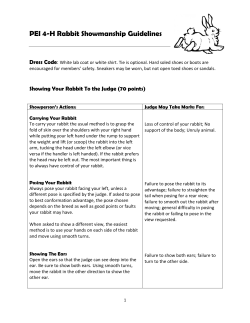PEI 4-H Rabbit Showmanship Guidelines